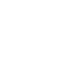 WiseDigital – veebilehe tegemine ja protsess